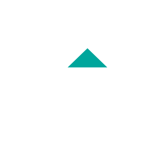 RUSLIES CONSTRUCT LIMITED